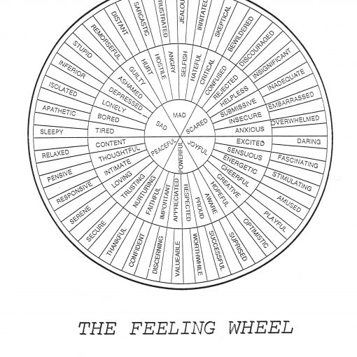 FeelingWheel