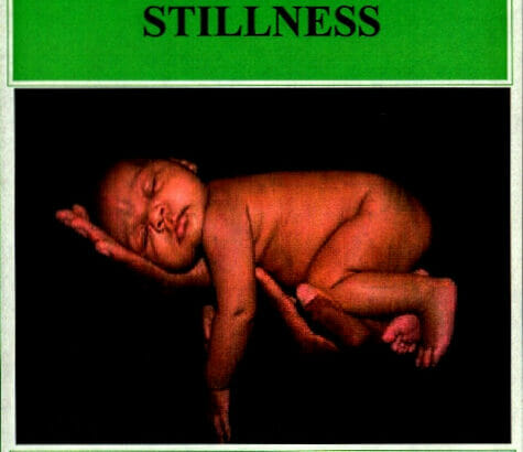 Wellness Through Stillness DVD Front Cover